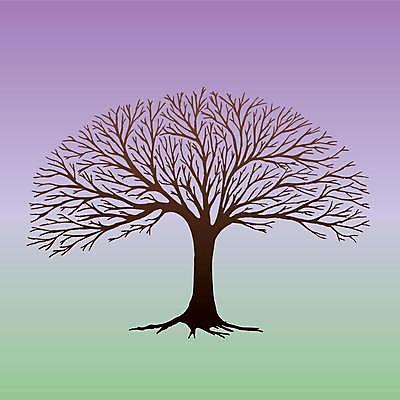 EPS 해외이미지 나무 식물 디자인 계절 실루엣 백그라운드 잎 겨울 일러스트 자연 미술 풍경 목재 그래픽 초록색 여름 컬러풀 환경 정원 봄 성장 가을 흰색 나뭇가지 숲 큼 심볼 싱글 그림 에코 내추럴 고립 생태학 엘리먼트 해외일러스트 교육 컬러 재료 문화예술 촬영기법 크기 생태계 파일형식 벡터 이미지허브