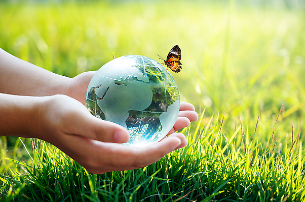 포토 JPG 해외이미지 손 나비 잎 자연 들기 야외 아웃포커스 초록색 지구본 잡기 에코 생태계 해외포토 식물 컬러 곤충 모션 촬영기법 신체부위 환경 파일형식 이미지허브