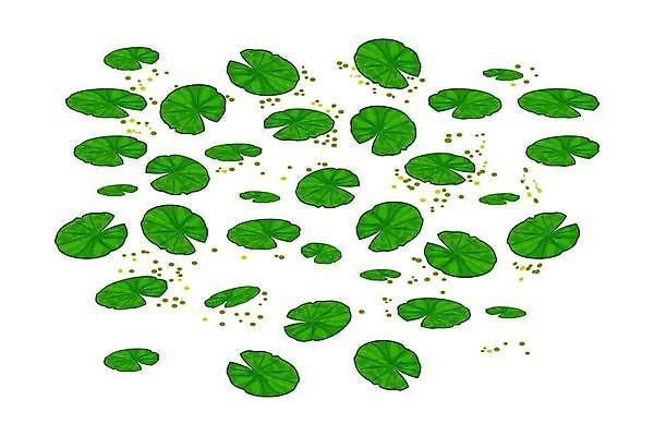 EPS 해외이미지 식물 디자인 꽃 종이 호수 백그라운드 컨셉 잎 패턴 일러스트 자연 벽지 표면 추상 연꽃 갈대 씨앗 그래픽 초록색 물 강 중국 봄 덮개 연못 플랫 습지 숲 인쇄 백합 작음 만화 흰배경 질감 패드 고립 변소 엘리먼트 해외일러스트 자연요소 계절 아시아 컬러 무늬 뚜껑 흰색 크기 생태계 파일형식 벡터 이미지허브