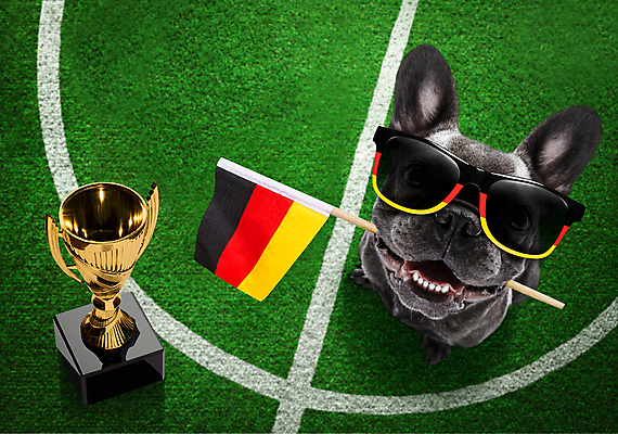 포토 JPG 해외이미지 동물 유럽 스포츠 운동화 밭 축구공 공 놀이 독일 사람없음 컵 선글라스 세계 축구 경쟁 경기장 기차 게임 깃발 우승 부채 유머 황금 개 가격 가죽 테리어 트로피 메달 연습 점수 불독 고립 골 마스코트 승자 챔피언 플레이어 해외포토 식기 감정 나라 안경 육상교통 신발 컨셉 농업 축구용품 포유류 스포츠시설 대중교통 구기 최고 상_우승 상_상패 파일형식 이미지허브