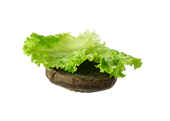 포토 JPG 해외이미지 단면 실내 사람없음 햄버거 양상추 흰배경 해외포토 백그라운드 채소 패스트푸드 내부 흰색 파일형식 이미지허브