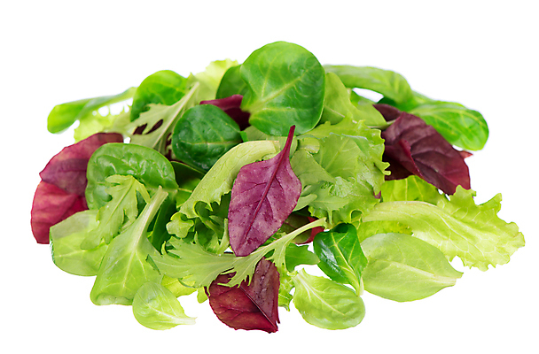 포토 JPG 해외이미지 잎 사람없음 샐러드 신선 상추 해외포토 식물 음식 채소 파일형식 이미지허브