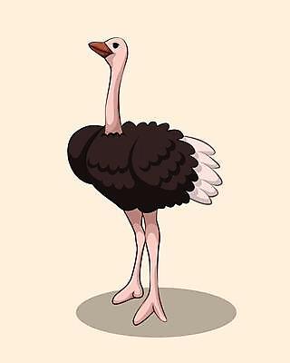 EPS 해외이미지 동물 캐릭터 디자인 야생동물 음식 날개 일러스트 아프리카 자연 조류 생물 동물원 육류 서기 그래픽 컬러풀 농장 라벨 유머 플랫 큼 만화 심볼 사파리 깃털 사인 속도 그림 사냥 부리 코믹 목 고립 동물상 마스코트 이국적 해외일러스트 일러캐릭터 감정 나라 컬러 농업 식재료 모션 프레임 신체부위 조형물 크기 생태계 파일형식 벡터 이미지허브