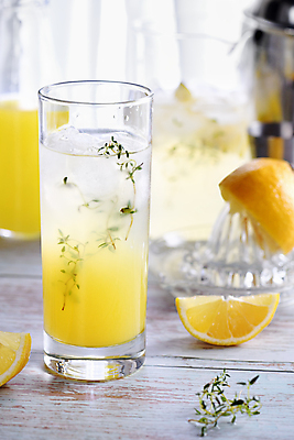 포토 JPG 해외이미지 잔 사람없음 칵테일 과실주 레몬 허브 과즙기 브랜디 해외포토 식물 식기 과일 주류 파일형식 이미지허브