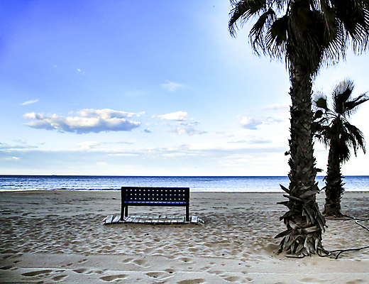포토 JPG 해외이미지 바다 벤치 하늘 사람없음 물 모래사장 야자수 해외포토 자연요소 나무 의자 파일형식 이미지허브