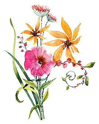 JPG 해외이미지 꽃 여러송이 일러스트 사람없음 그림 손그림 해외일러스트 식물 다수 파일형식 이미지허브