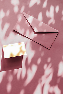 포토 JPG 해외이미지 종이 편지봉투 그림자 사람없음 햇빛 그늘 감성 연분홍색 카피스페이스 해외포토 분홍색 컨셉 봉투 태양 공백 편지 파일형식 이미지허브