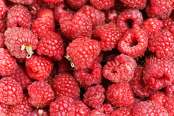 포토 JPG 해외이미지 식물 열매 음식 백그라운드 다이어트 과일 디저트 건강 사람없음 빨간색 수확 흰색 신선 그룹 달콤 맛 정상 오브젝트 유기농 질감 날것 산딸기 내추럴 숙성 채식주의자 비건 해외포토 웰빙 컬러 컨셉 농업 채식 파일형식 이미지허브