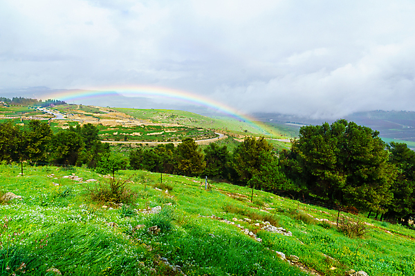 포토 JPG 해외이미지 구름 여행 무지개 겨울 밭 중동 자연 하늘 산 풍경 사람없음 야외 초록색 뷰티 계곡 시골 관찰 지중해 언덕 북쪽 이스라엘 해외포토 자연요소 계절 나라 바다 컬러 농업 모션 방향 생태계 서아시아 파일형식 이미지허브
