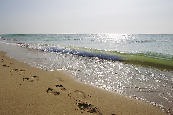 포토 JPG 해외이미지 길 모래 바다 여행 백그라운드 컨셉 텍스트 자국 맨발 자연 휴가 휴식 사람 풍경 사람없음 야외 물 여름 갈색 평화 우주 희망 산책 자유 운명 업무 황금 인쇄 발자국 단계 양발 해외포토 자연요소 계절 감정 컬러 발 작업 생태계 파일형식 이미지허브