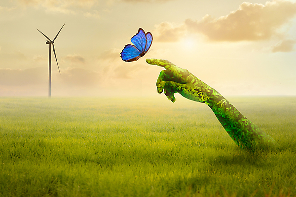 포토 JPG 해외이미지 식물 손 곤충 백그라운드 컨셉 잎 밭 농업 날개 손가락 자연 휴식 건강 관리 사랑 잔디 사람없음 야외 초록색 여름 파란색 세계 글로벌 햇빛 태양 뷰티 농장 환경 정원 화목 봄 터치 자유 신선 잡기 변화 풍력에너지 에코 무료 생태학 해외포토 자연요소 동물 계절 교육 감정 산업 컬러 모션 신체부위 그린에너지 생태계 파일형식 이미지허브