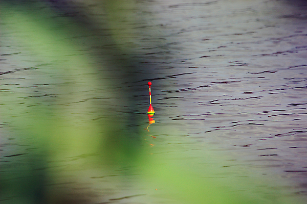 포토 JPG 해외이미지 호수 스포츠 아침 낚시 취미 사람없음 물 강 연못 낚시꾼 기어 해외포토 주간 자연요소 레저 파일형식 이미지허브