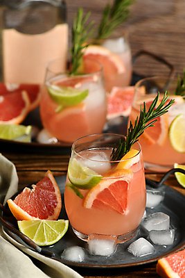 포토 JPG 해외이미지 잔 쟁반 실내 사람없음 아웃포커스 얼음 칵테일 자몽 라임 로즈메리 과일조각 해외포토 자연요소 식기 조각 과일 주류 촬영기법 내부 허브 파일형식 이미지허브