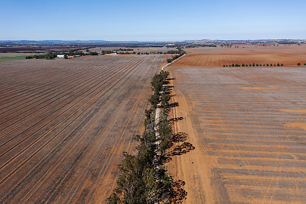 포토 JPG 해외이미지 나무 산업 선 패턴 밭 농업 자연 하늘 불 안테나 사람없음 야외 파란색 농작물 농장 갈색 환경 검은색 흙 수확 성장 호주 낟알 땅 질감 머리위 먼지 연소 드론 방목장 밭일 화상 내려보기 해외포토 자연요소 식물 컬러 무늬 통신 모션 오세아니아 상처 생태계 파일형식 이미지허브