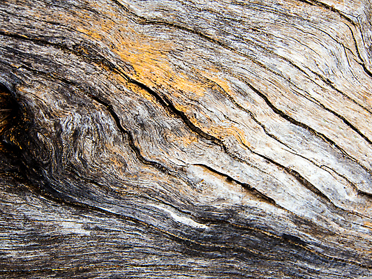 포토 JPG 해외이미지 나무 백그라운드 십자가 패턴 자연 표면 날씨 추상 사람없음 목재 갈색 우주 회색 흰색 거친 균열 숲 묘사 질감 나무껍질 수목 옛날 해외포토 식물 컬러 무늬 재료 모션 껍질 생태계 파일형식 이미지허브