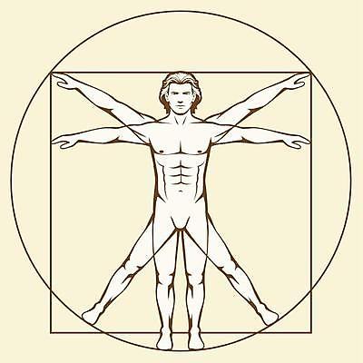 EPS 해외이미지 남자 과학 백그라운드 신체 일러스트 해부 건강 미술 서기 사람 파란색 약 원형 클래식 심볼 사인 그림 생물학 정사각형 고립 르네상스 해외일러스트 도형 교육 컬러 컨셉 의학 모션 문화예술 파일형식 벡터 이미지허브
