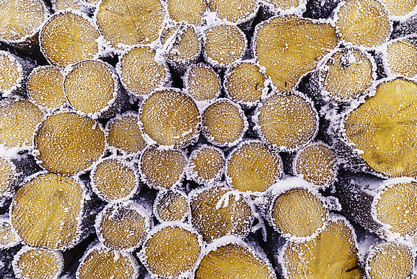 포토 JPG 해외이미지 나무 산업 백그라운드 겨울 패턴 자연 사람없음 야외 목재 갈색 쌓기 얼음 추위 원형 장작 자르기 묘사 질감 나무껍질 연료 잡동사니 흙더미 내추럴 종료 수목 눈내림 가문비나무 많음 해외포토 자연요소 도형 식물 계절 컬러 컨셉 무늬 재료 모션 눈_날씨 흙 껍질 생태계 파일형식 더미 이미지허브