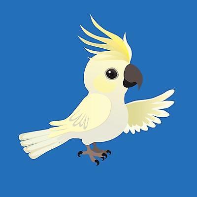 EPS 해외이미지 동물 캐릭터 디자인 응시 행복 야생동물 날개 일러스트 자연 조류 동물원 반려동물 노란색 흰색 만화 호루라기 스마트 깃털 그림 부리 앵무새 코믹 이국적 잉꼬 지능 해외일러스트 일러캐릭터 시선 감정 컬러 컨셉 생태계 파일형식 벡터 이미지허브