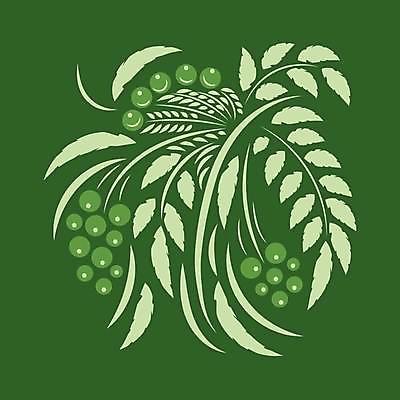 EPS 해외이미지 디자인 꽃 잎 일러스트 미술 사람없음 초록색 화려 민화 해외일러스트 식물 컬러 컨셉 문화예술 그림 파일형식 벡터 이미지허브