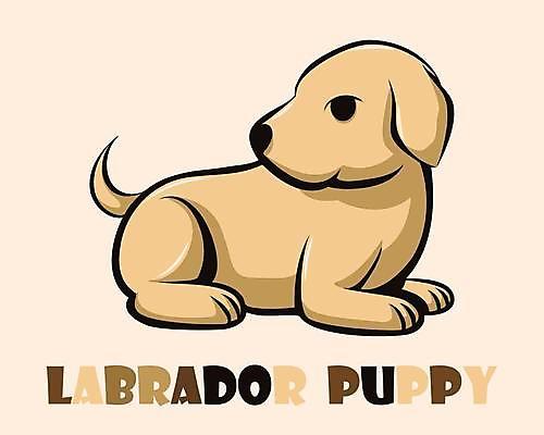 EPS 해외이미지 동물 캐릭터 디자인 행복 어린이 선 백그라운드 일러스트 포유류 자연 미소 앉기 책 반려동물 갈색 꼬리표 라벨 상점 페인트 유머 황금 개 리트리버 강아지 만화 래브라도리트리버 심볼 사인 그림 심플 사냥개 코믹 송곳니 고립 기르기 해외일러스트 일러캐릭터 감정 컬러 모션 프레임 표정 사람 치아 생태계 돌봄 파일형식 벡터 이미지허브