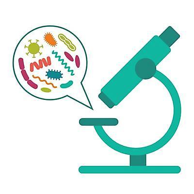 EPS 해외이미지 교육 과학 백그라운드 일러스트 생물 세포 건강 병원 현미경 실험 약 장비 흰색 실험실 바이러스 생물학 감염 미생물 박테리아 고립 해외일러스트 컬러 의학 실험기구 파일형식 벡터 이미지허브