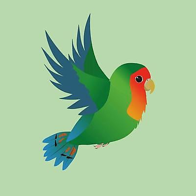 EPS 해외이미지 동물 디자인 야생동물 백그라운드 날개 일러스트 자연 조류 오리 사랑 미술 그래픽 파란색 컬러풀 노란색 평화 치킨 흰색 만화 심볼 깃털 그림 비둘기 부리 앵무새 고립 해외일러스트 감정 컬러 컨셉 문화예술 생태계 닭고기요리 파일형식 벡터 이미지허브