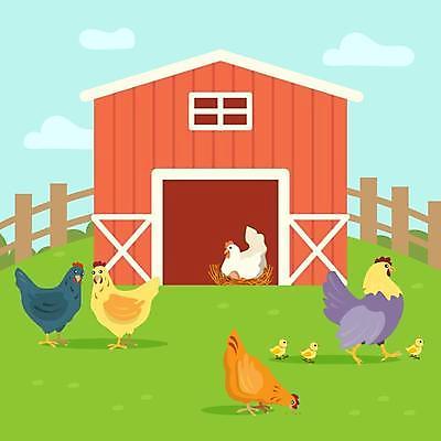 EPS 해외이미지 여러마리 일러스트 병아리 사람없음 울타리 농장 계란 둥지 양계장 해외일러스트 다수 농업 조류 담장 알 파일형식 벡터 이미지허브