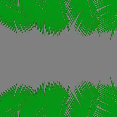 EPS 해외이미지 나무 식물 포스터 종이 백그라운드 잎 일러스트 자연 벽지 손바닥 그래픽 초록색 신용카드 타일 코코넛 내추럴 해외일러스트 손 컬러 과일 금융 생태계 파일형식 벡터 이미지허브