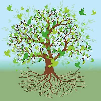 EPS 해외이미지 나무 식물 디자인 계절 실루엣 백그라운드 잎 일러스트 요가 자연 조류 하늘 건조 미술 목재 그래픽 장식 초록색 파란색 환경 정원 봄 나뭇가지 숲 깃털 싱글 그림 내추럴 고립 해외일러스트 동물 웰빙 컬러 재료 문화예술 촬영기법 생태계 파일형식 벡터 이미지허브