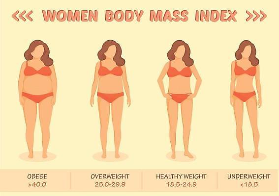 EPS 해외이미지 디자인 배너 여자 신체 다이어트 일러스트 건강 사람 그래픽 세트 숫자 인포그래픽 정보 질병 몸무게 비만 날씬함 측정 인덱스 문제 덩어리 적자 해외일러스트 문자 의학 몸매 파일형식 벡터 이미지허브
