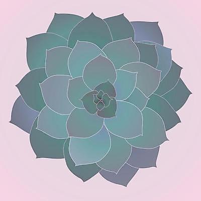 EPS 해외이미지 모양 식물 디자인 배너 꽃 분홍색 백그라운드 꽃무늬 패턴 일러스트 자연 벽지 추상 미술 경사 그래픽 장식 초록색 디지털 검은색 흰색 원형 심볼 질감 냅킨 고립 만다라 엘리먼트 폴리곤 스타일 해외일러스트 도형 컬러 무늬 문화예술 생태계 파일형식 벡터 이미지허브