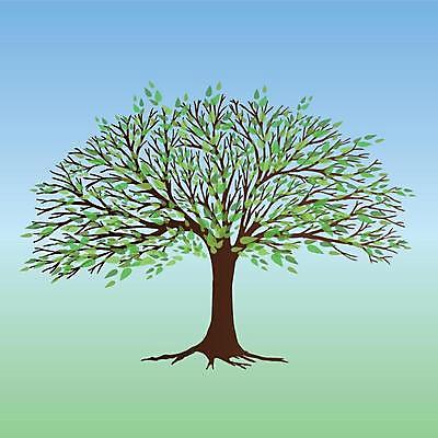 EPS 해외이미지 나무 식물 디자인 계절 실루엣 백그라운드 잎 겨울 일러스트 자연 풍경 목재 초록색 여름 컬러풀 환경 정원 봄 성장 가을 흰색 나뭇가지 숲 큼 심볼 싱글 그림 내추럴 고립 해외일러스트 컬러 재료 촬영기법 크기 생태계 파일형식 벡터 이미지허브