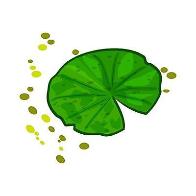 EPS 해외이미지 식물 디자인 꽃 종이 호수 잎 패턴 일러스트 자연 벽지 표면 추상 개구리 씨앗 그래픽 초록색 물 강 중국 봄 덮개 연못 플랫 습지 숲 인쇄 작음 만화 심볼 오브젝트 흰배경 패드 고립 변소 엘리먼트 해외일러스트 자연요소 계절 아시아 컬러 백그라운드 무늬 양서류 뚜껑 흰색 크기 생태계 파일형식 벡터 이미지허브