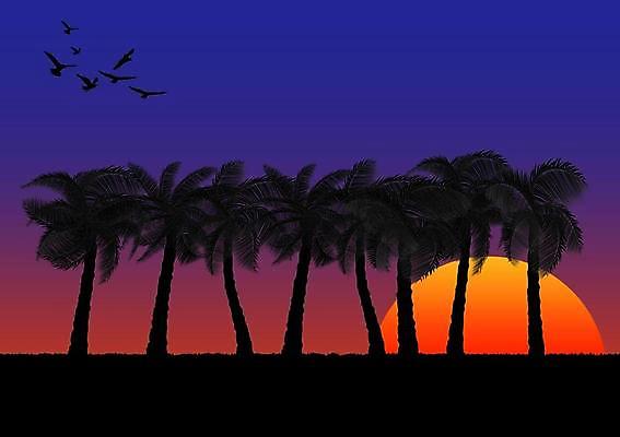 EPS 해외이미지 실루엣 백그라운드 오렌지 일러스트 자연 조류 하늘 아침 손바닥 야외 파란색 빛 햇빛 태양 노란색 일출 일몰 신용카드 저녁 코코넛 해외일러스트 주간 자연요소 동물 손 컬러 과일 촬영기법 금융 노을 야간 생태계 파일형식 벡터 이미지허브