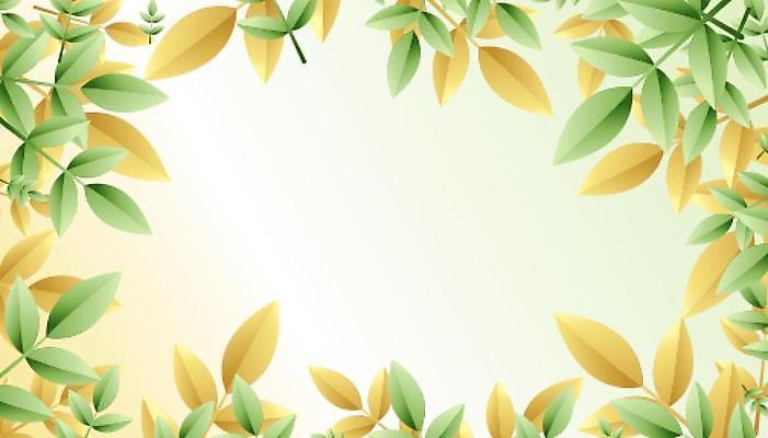 EPS 해외이미지 잎 일러스트 프레임 사람없음 초록색 노란색 해외일러스트 식물 컬러 파일형식 벡터 이미지허브