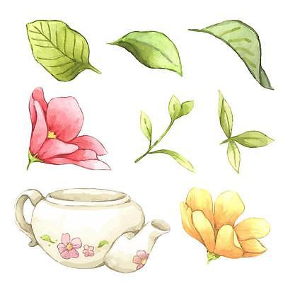 EPS 해외이미지 꽃 줄기 일러스트 나뭇잎 사람없음 찻주전자 꽃봉오리 해외일러스트 식물 잎 주전자 파일형식 벡터 이미지허브