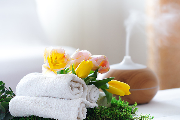 포토 JPG 해외이미지 꽃 잎 사람없음 아웃포커스 수건 오브젝트 스파용품 가습기 바디케어 해외포토 식물 촬영기법 위생용품 스파 파일형식 이미지허브