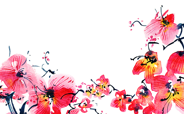 포토 JPG 해외이미지 꽃잎 꽃 줄기 분홍색 일러스트 캘리그라피 붓터치 수채화 수묵화 미술 사람없음 동양화 번짐 해외일러스트 식물 컬러 문화예술 파일형식 효과 이미지허브