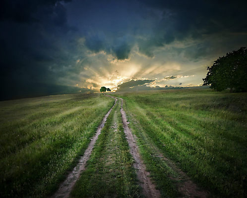 포토 JPG 해외이미지 나무 구름 배너 파도 여행 백그라운드 오렌지 자연 하늘 미술 풍경 사람없음 야외 초록색 여름 파란색 컬러풀 햇빛 뷰티 노란색 일출 황혼 일몰 새벽 달력 분위기 황금 저녁 공상 천국 깊이 수평선 해외포토 자연요소 식물 계절 바다 컬러 컨셉 과일 문화예술 태양 노을 야간 생태계 파일형식 이미지허브