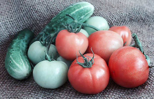 포토 JPG 해외이미지 식물 계절 음식 백그라운드 농업 토마토 채소 과일 자연 오이 새로움 실내 파슬리 건강 사람없음 장식 빨간색 초록색 농장 수확 성장 신선 그룹 맛 큼 9월 준비 흰배경 유기농 날것 채소밭 고립 밭일 온실 채식주의자 많음 카피스페이스 해외포토 웰빙 산업 컬러 컨셉 밭 내부 공백 흰색 날짜 크기 생태계 채식 파일형식 이미지허브