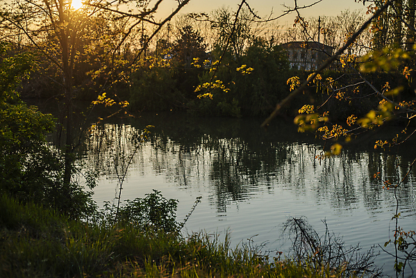 포토 JPG 해외이미지 나무 계절 공원 호수 여행 백그라운드 자연 하늘 아침 산 사람없음 야외 목재 초록색 물 파란색 빛 강 컬러풀 햇빛 태양 뷰티 반사 평화 일출 환경 맑음 침묵 일몰 봄 새벽 연못 저녁 숲 장면 내추럴 수평선 해외포토 주간 자연요소 식물 공공시설 컬러 컨셉 재료 날씨 노을 소리 야간 생태계 파일형식 이미지허브
