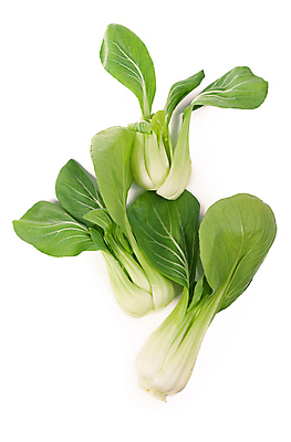 포토 JPG 해외이미지 잎 채소 사람없음 초록색 청경채 해외포토 식물 컬러 파일형식 이미지허브