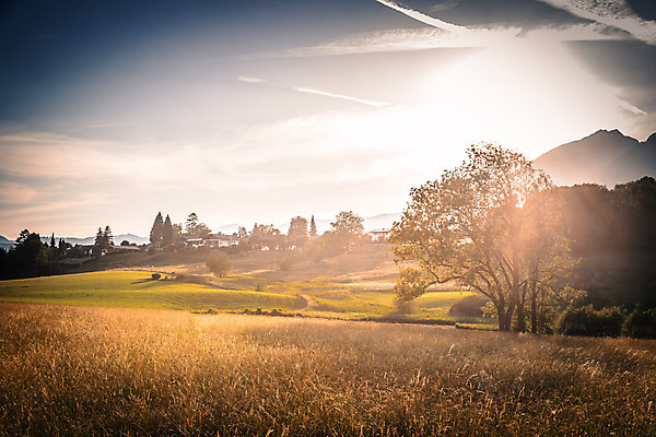 포토 JPG 해외이미지 식물 계절 유럽 포스터 자연 휴가 휴식 산 독일 사람없음 야외 컬러풀 환경 침묵 황혼 일몰 봄 시골 신선 오스트리아 황금 저녁 땅 언덕 그림 절정 바이에른 해외포토 나라 컬러 컨셉 노을 소리 야간 생태계 파일형식 이미지허브