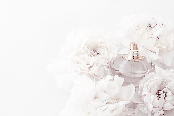 포토 JPG 해외이미지 실내 사람없음 뷰티 화장품 향수 흰배경 모란 향수병 브랜딩 세련 해외포토 꽃 백그라운드 내부 흰색 병_담는 파일형식 이미지허브