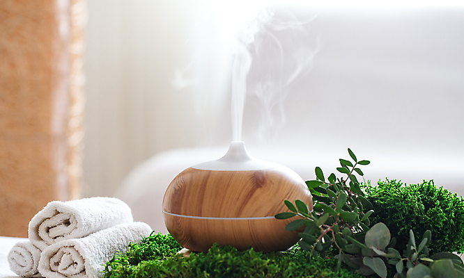 포토 JPG 해외이미지 잎 사람없음 아웃포커스 수건 오브젝트 스파용품 가습기 바디케어 해외포토 식물 촬영기법 위생용품 스파 파일형식 이미지허브