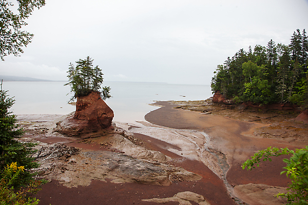 포토 JPG 해외이미지 나무 도로 바다 섬 자연 조류 하늘 사람없음 야외 물 경제 모래사장 골짜기 흐름 시골 만 썰물 부식 진흙 8월 해외포토 자연요소 식물 동물 길 컨셉 교통시설 날짜 생태계 파일형식 이미지허브