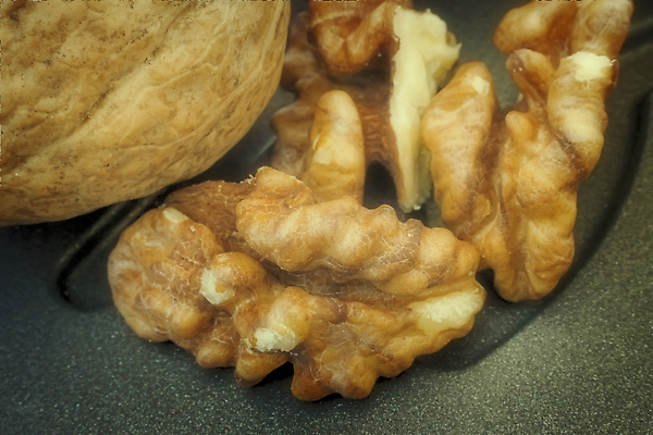 포토 JPG 해외이미지 계절 음식 백그라운드 과일 재료 자연 탁자 디저트 건강 씨앗 사람없음 목재 갈색 펼침 견과류 수확 흰색 시골 신선 그룹 유기농 질감 날것 호두 내추럴 식품점 채식주의자 해외포토 나무 식물 웰빙 컬러 가구 농업 모션 상점 생태계 채식 파일형식 이미지허브