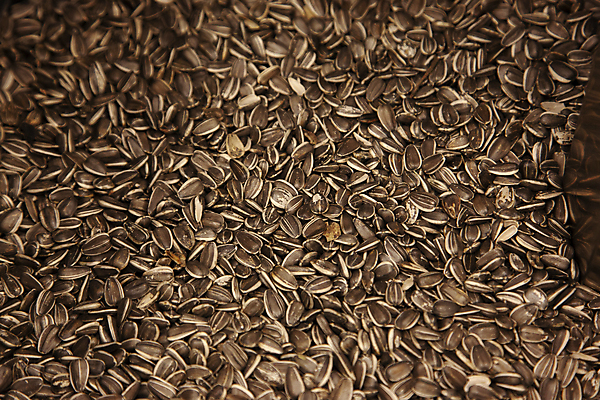 포토 JPG 해외이미지 식물 라이프스타일 꽃 음식 백그라운드 패턴 농업 다이어트 채소 재료 자연 해바라기 건조 건강 요리 씨앗 사람없음 쌓기 검은색 껍질 쓰레기통 그룹 맛 작음 굽기 먹기 유기농 질감 알맹이 날것 흙더미 짠맛 채식주의자 많음 해외포토 웰빙 산업 컬러 컨셉 무늬 모션 생활 흙 크기 구이 생태계 채식 파일형식 더미 이미지허브