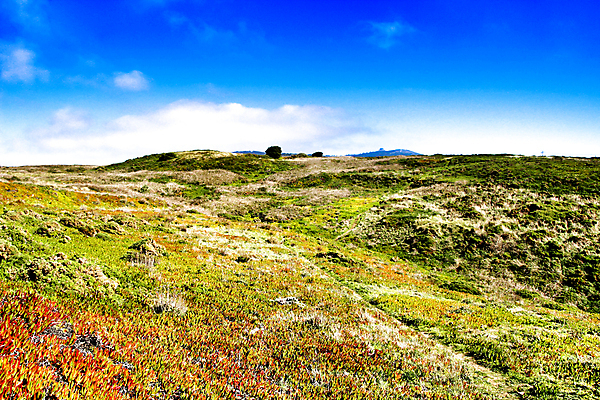 포토 JPG 해외이미지 나무 하늘 산 사람없음 언덕 해외포토 식물 파일형식 이미지허브