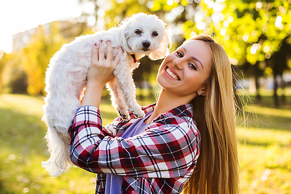 포토 JPG 해외이미지 동물 백인 한마리 라이프스타일 공원 여자 행복 장난 포유류 포옹 자연 놀이 휴식 함께함 사랑 한명 성인 야외 반려동물 햇빛 맑음 가축 우정 기쁨 흰색 잡기 개 강아지 작음 푸들 시티라이프 적재 송곳니 돌봄 신앙심 해외포토 서양인 1 공공시설 감정 컬러 컨셉 안기 모션 날씨 사람 생활 친구 태양 치아 크기 생태계 파일형식 이미지허브